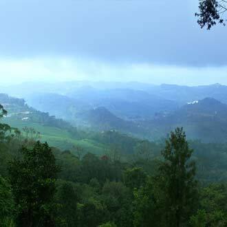 Munnar Heritage, Munnar 5